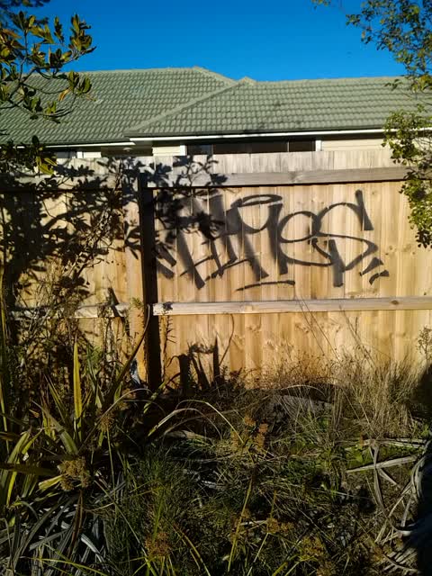 Graffiti, a report photo
