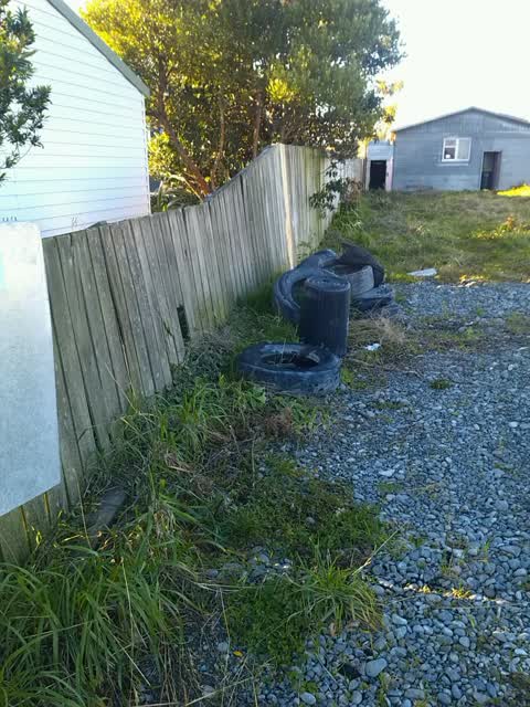 Rubbish/Recycling, a report photo