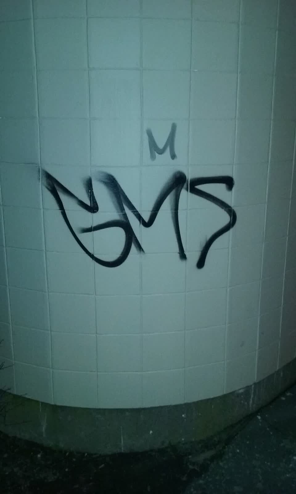 The photograph attached to this graffiti report