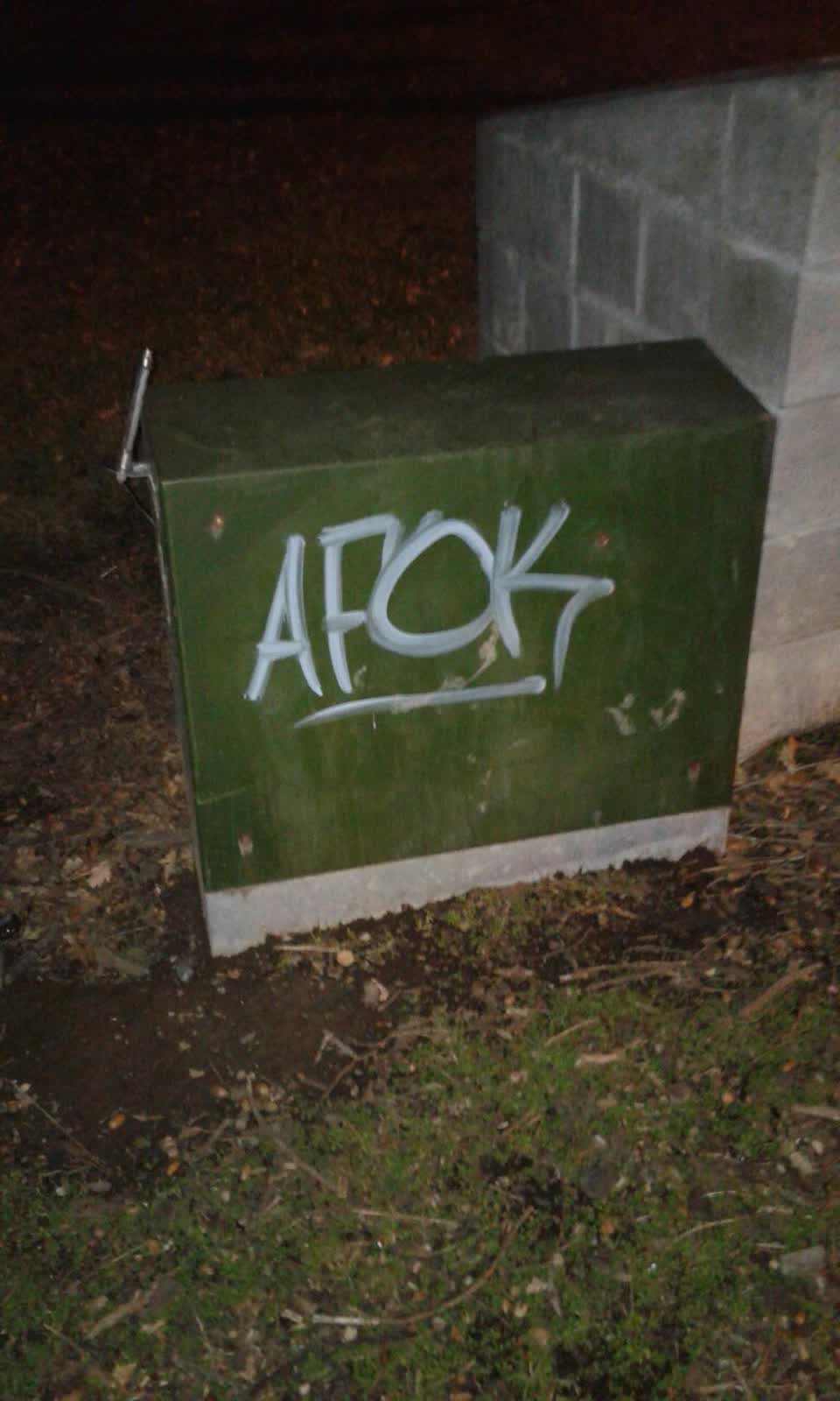The photograph attached to this graffiti report