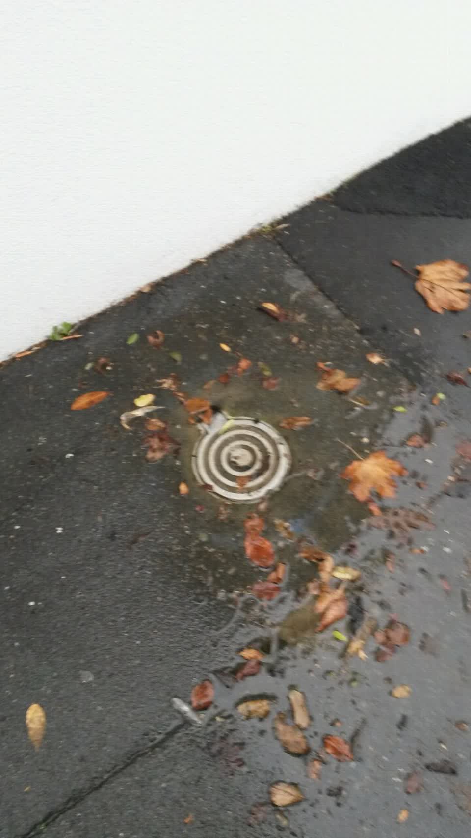 The photograph attached to this wastewater/stormwater report