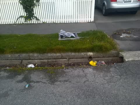 Rubbish/Recycling, a report photo