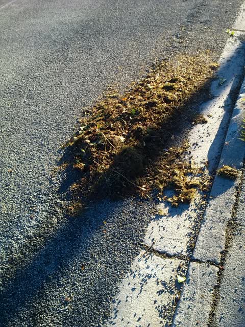 Rubbish/Recycling, a report photo