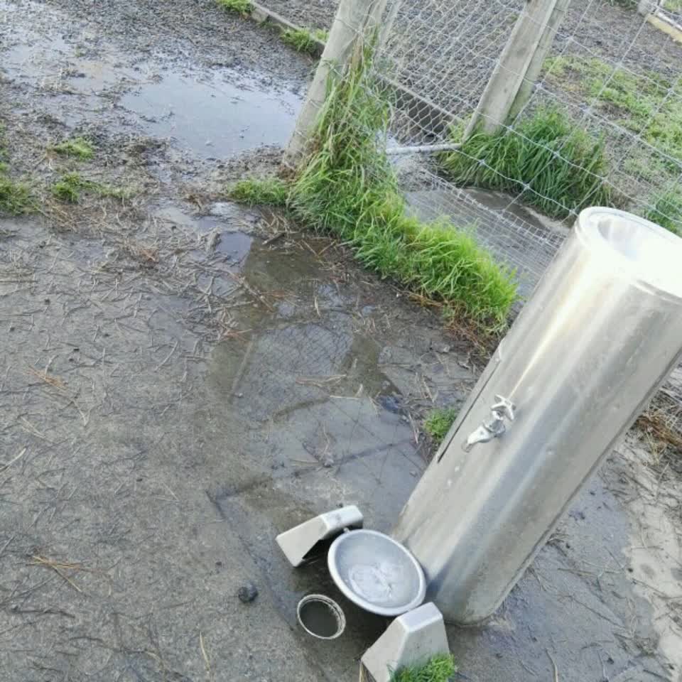 The photograph attached to this water supply report