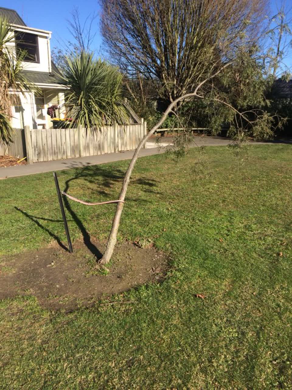 The photograph attached to this parks report