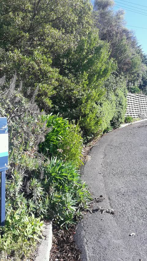 Roading/Streets, a report photo