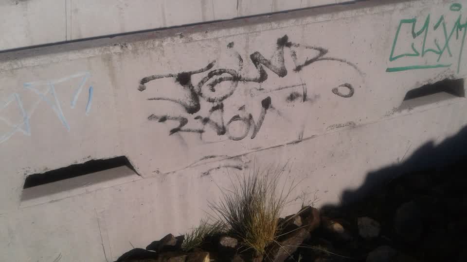 The photograph attached to this graffiti report
