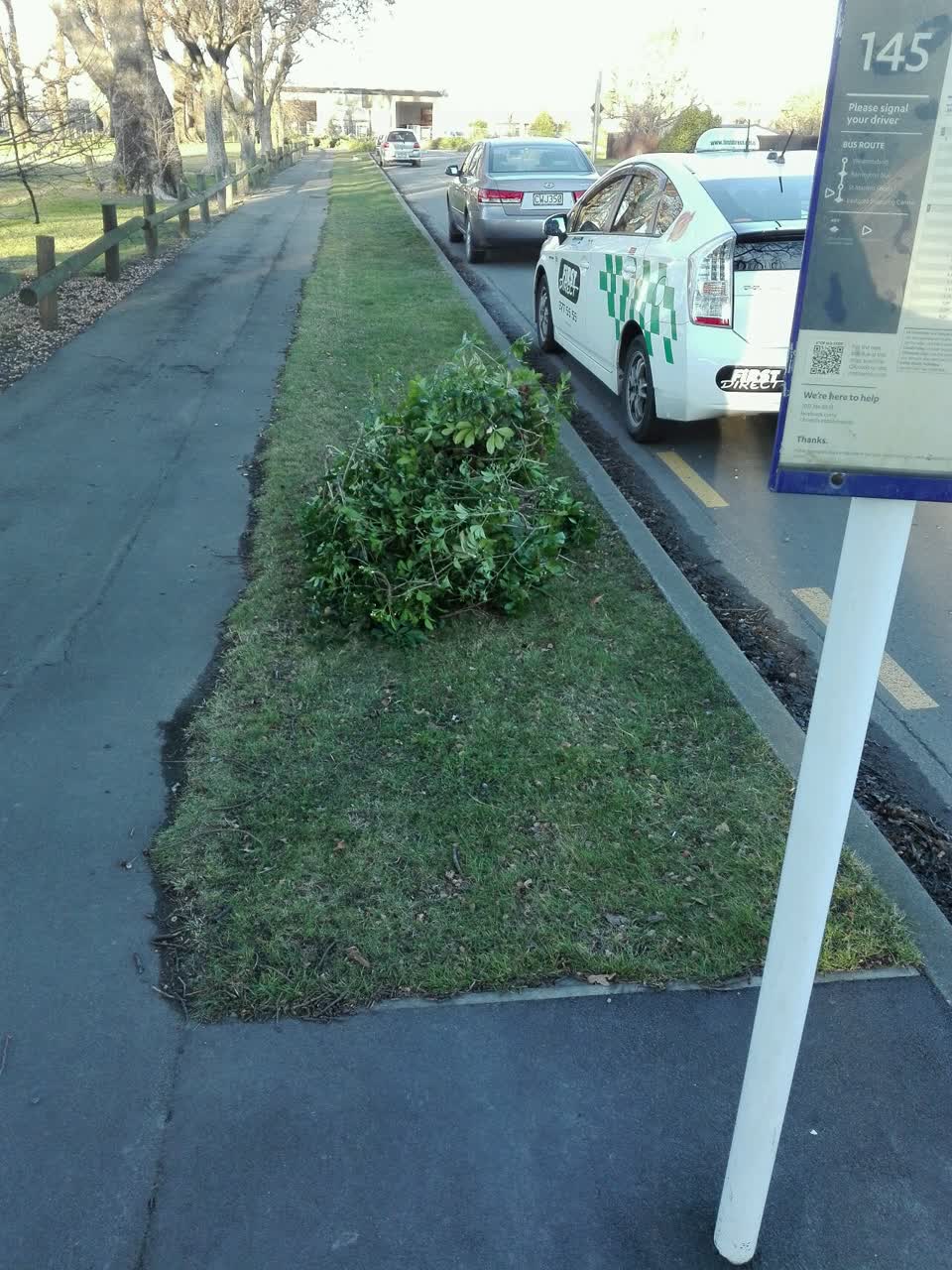 The photograph attached to this parks report