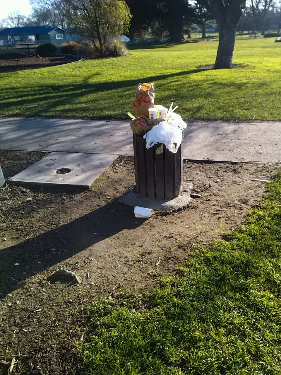 The photograph attached to this rubbish/recycling report