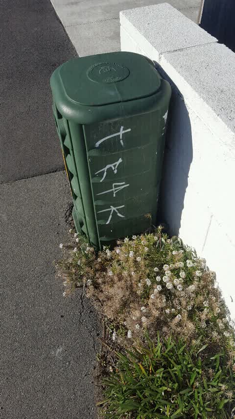Graffiti, a report photo