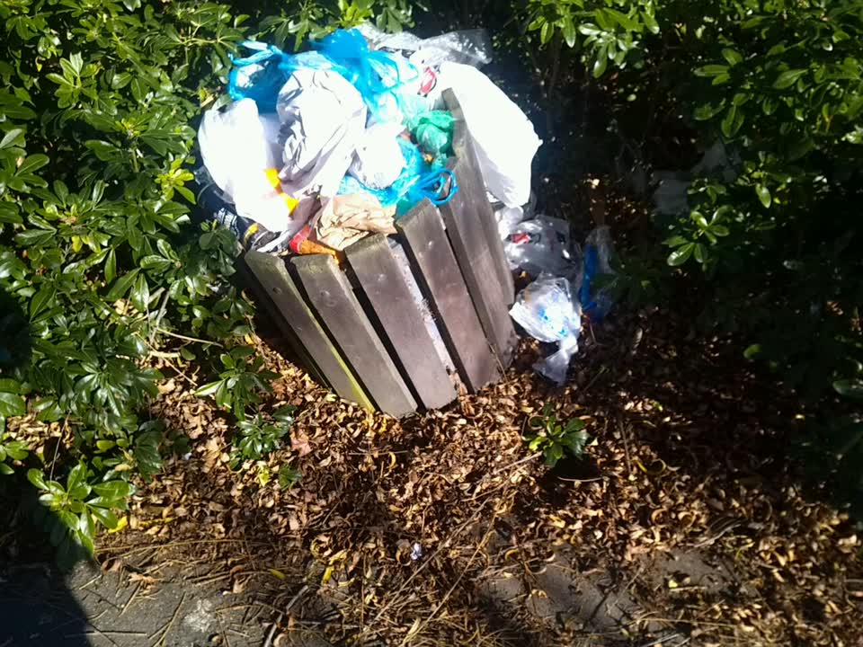 The photograph attached to this rubbish/recycling report