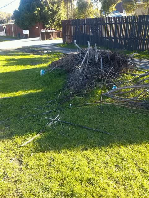 Rubbish/Recycling, a report photo