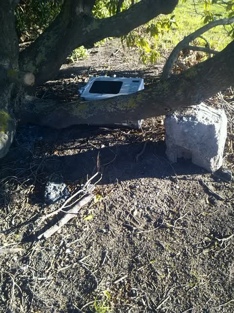 Rubbish/Recycling, a report photo