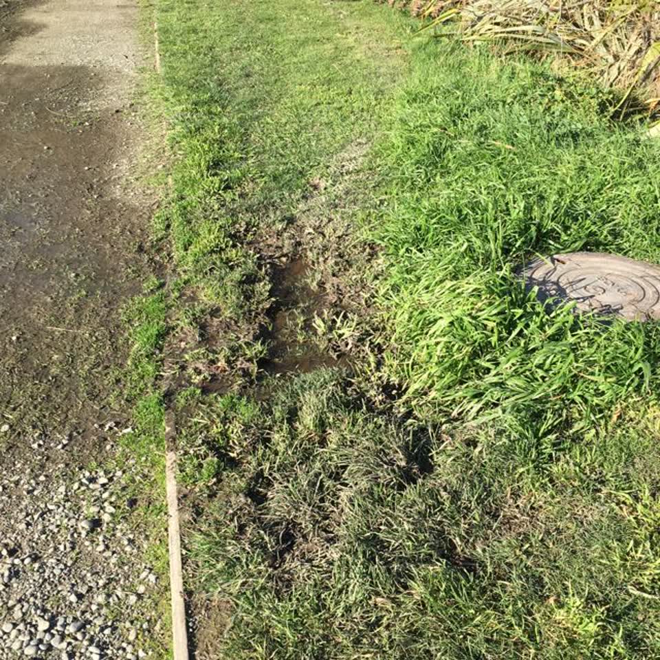 The photograph attached to this parks report