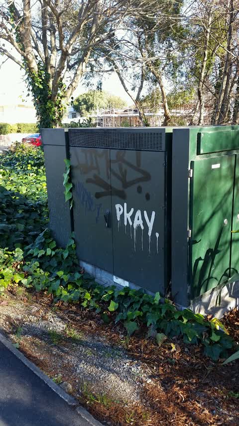 Graffiti, a report photo