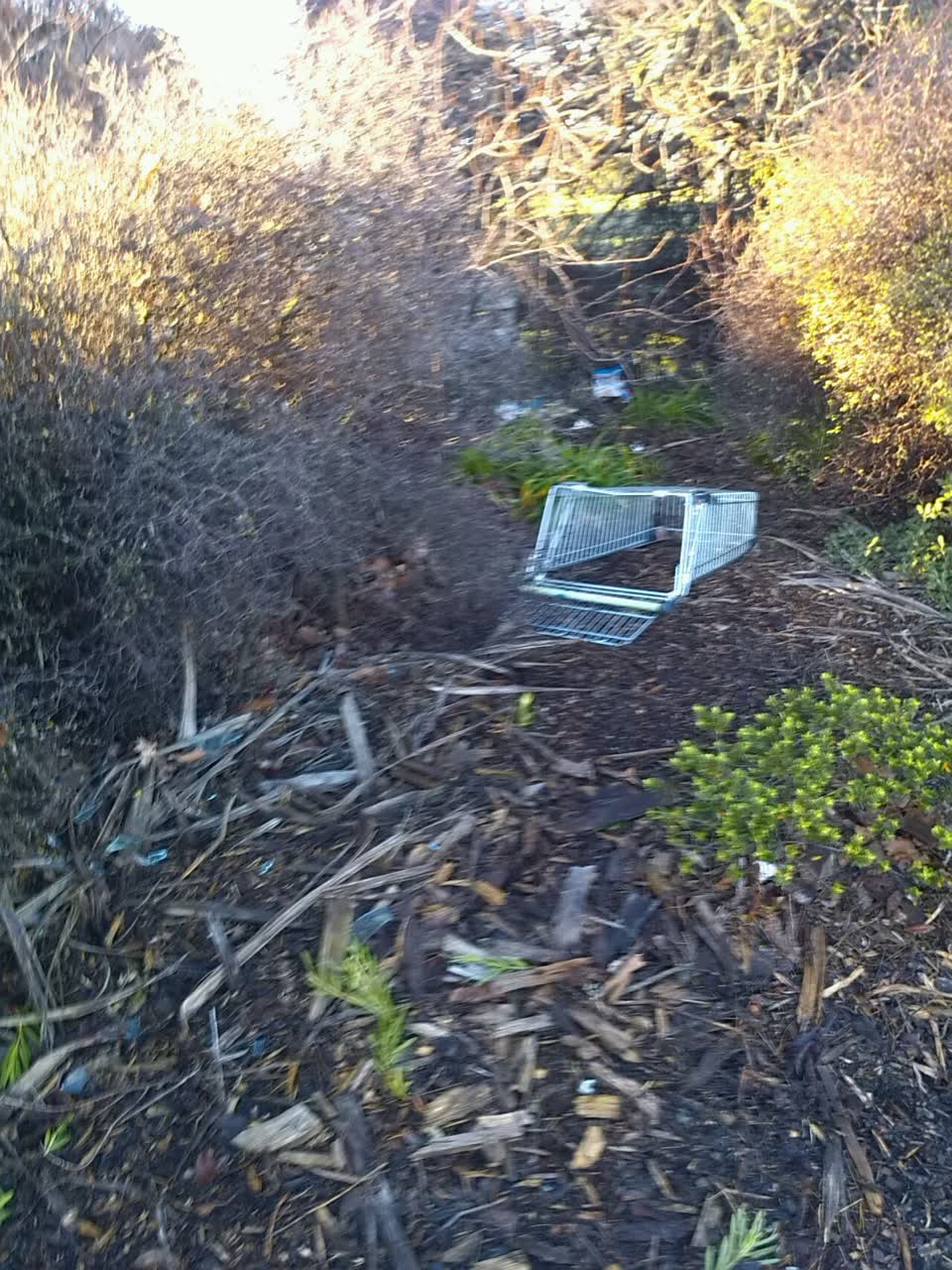 The photograph attached to this rubbish/recycling report