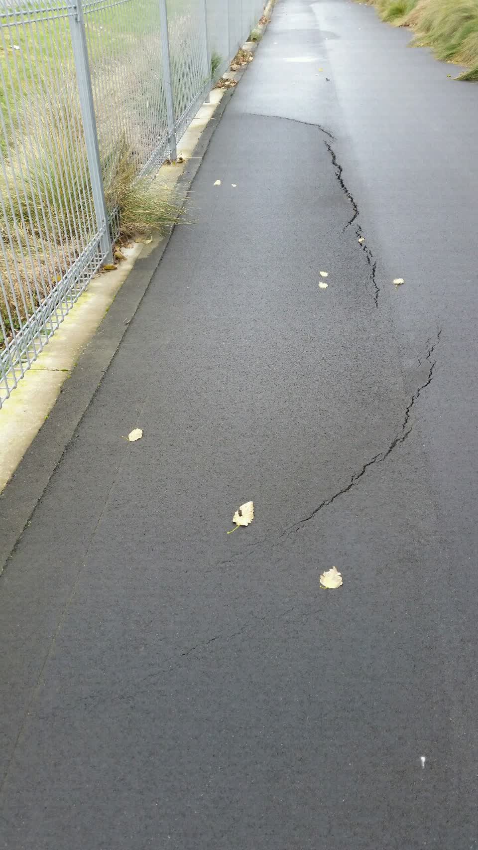 The photograph attached to this roading/streets report