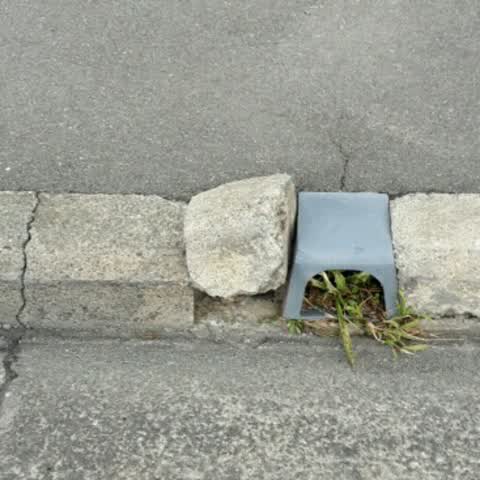 Roading/Streets, a report photo