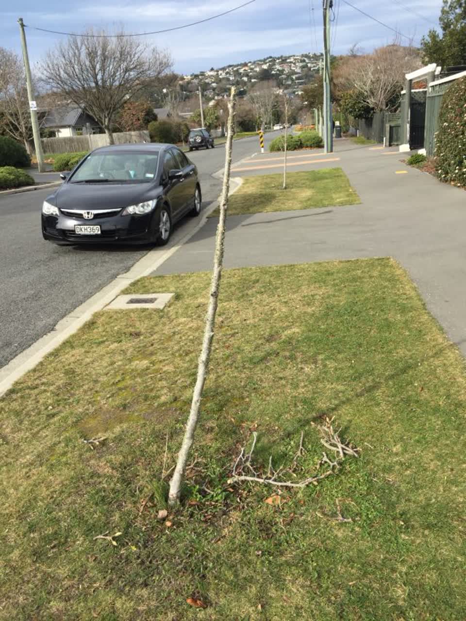 The photograph attached to this roading/streets report