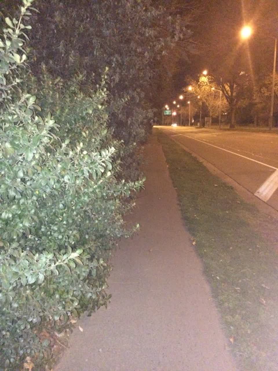 The photograph attached to this roading/streets report