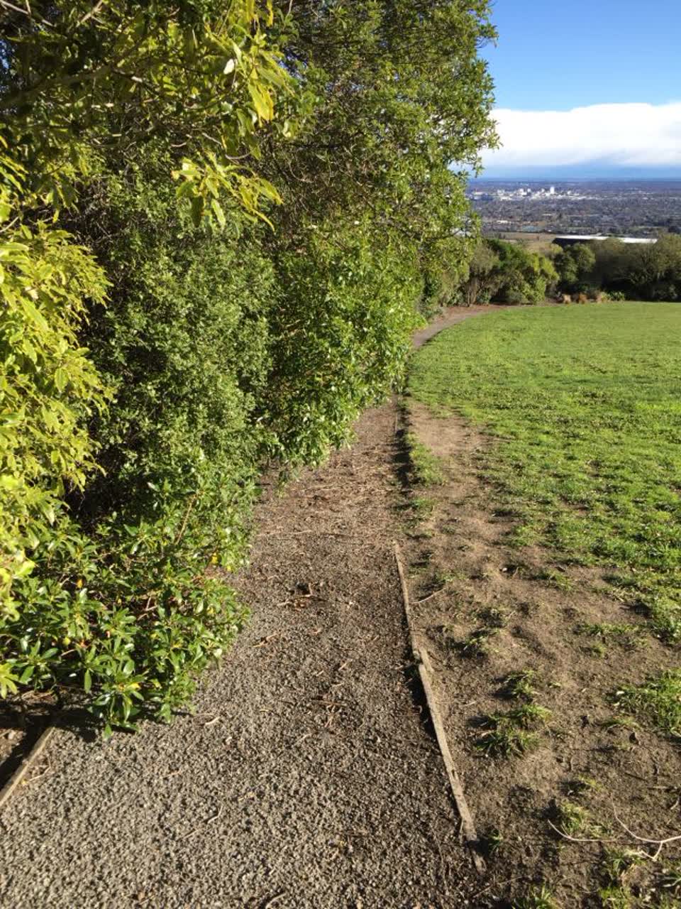The photograph attached to this parks report