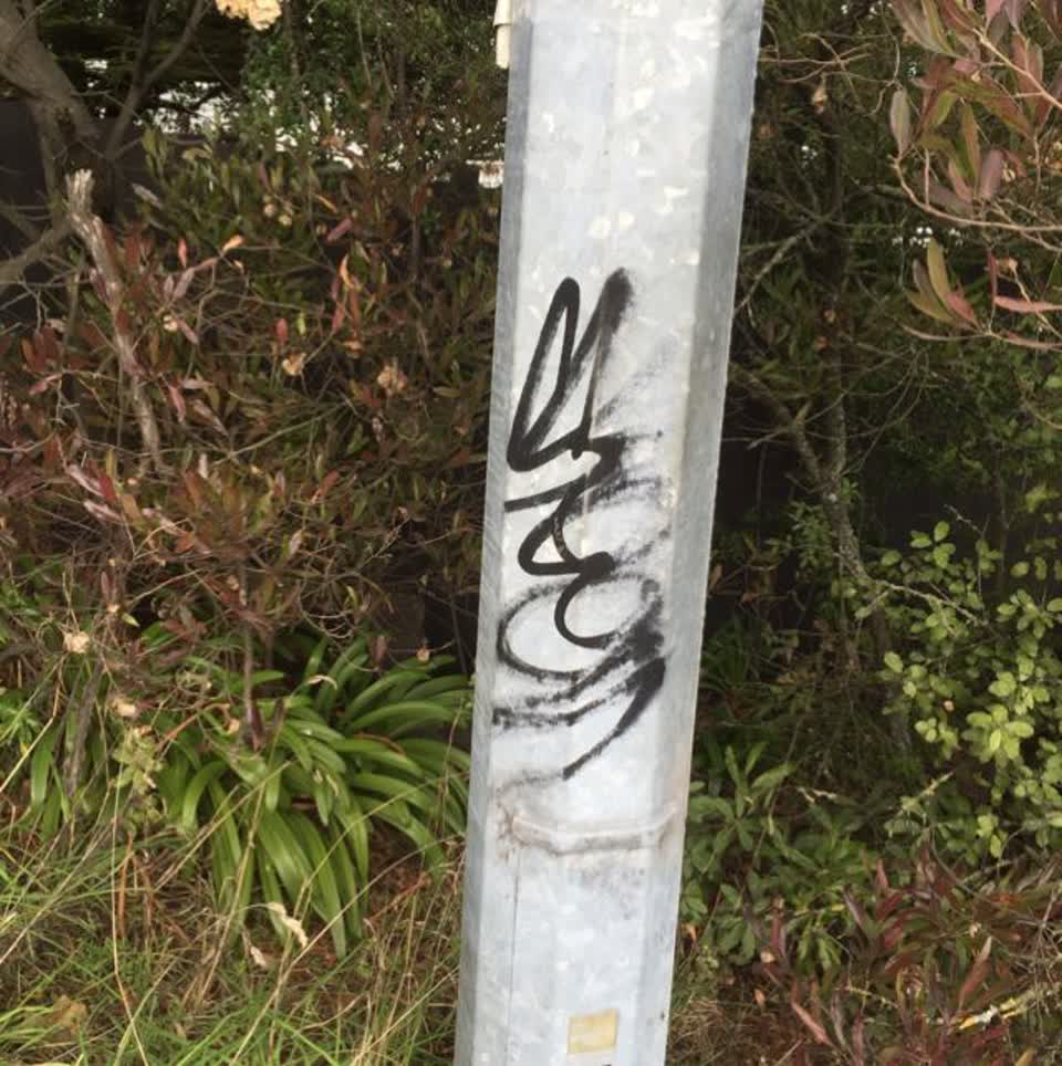 The photograph attached to this graffiti report