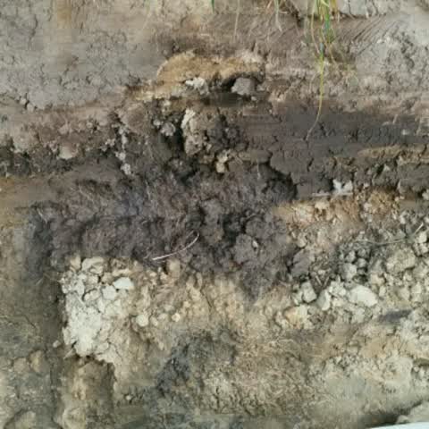 Water Supply, a report photo