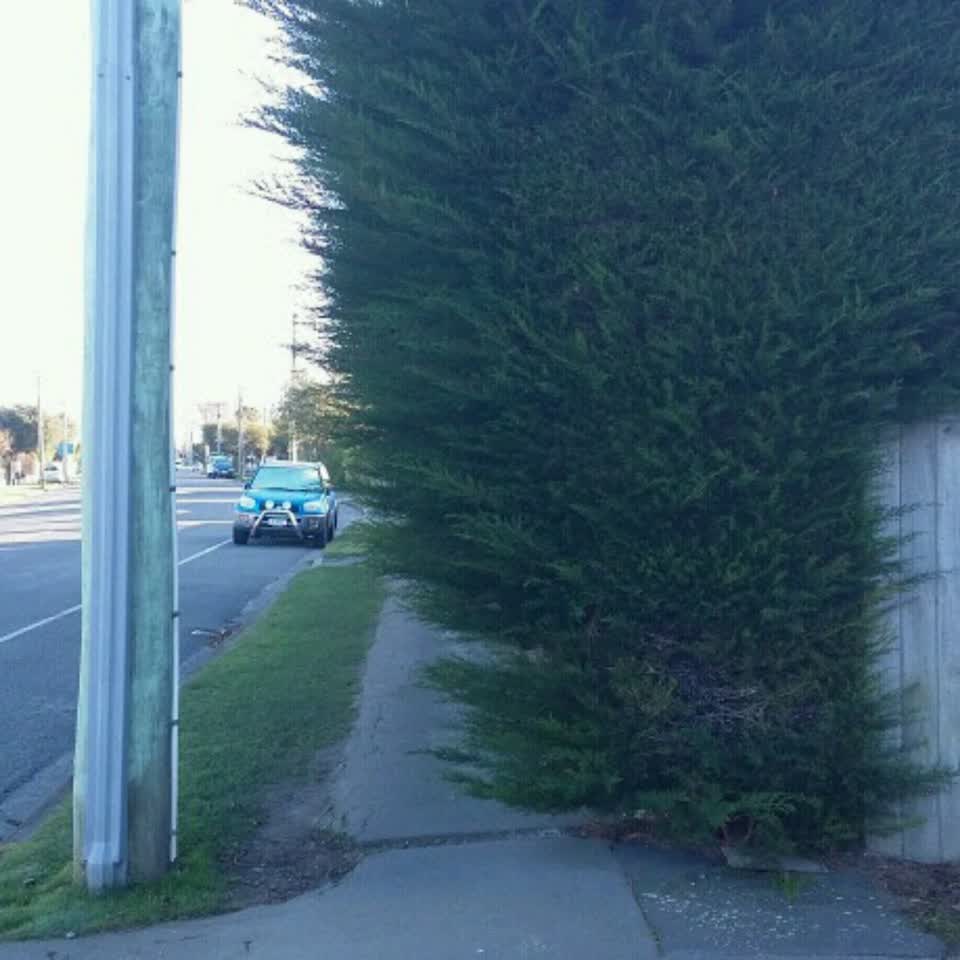 The photograph attached to this roading/streets report