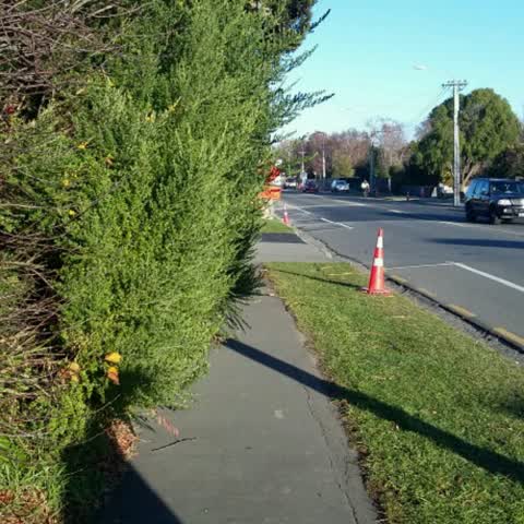 Roading/Streets, a report photo