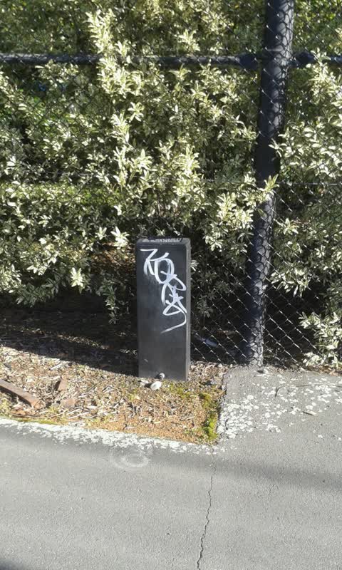 Graffiti, a report photo