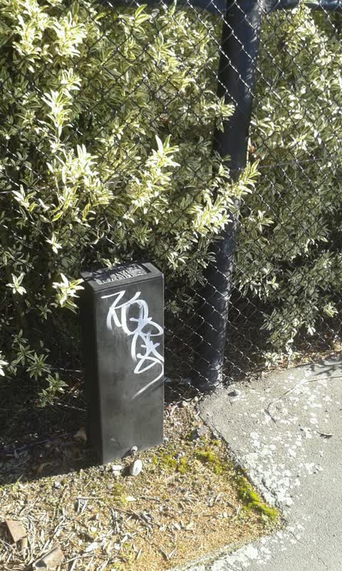 Graffiti, a report photo