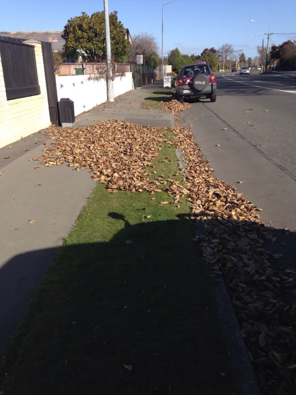 The photograph attached to this roading/streets report
