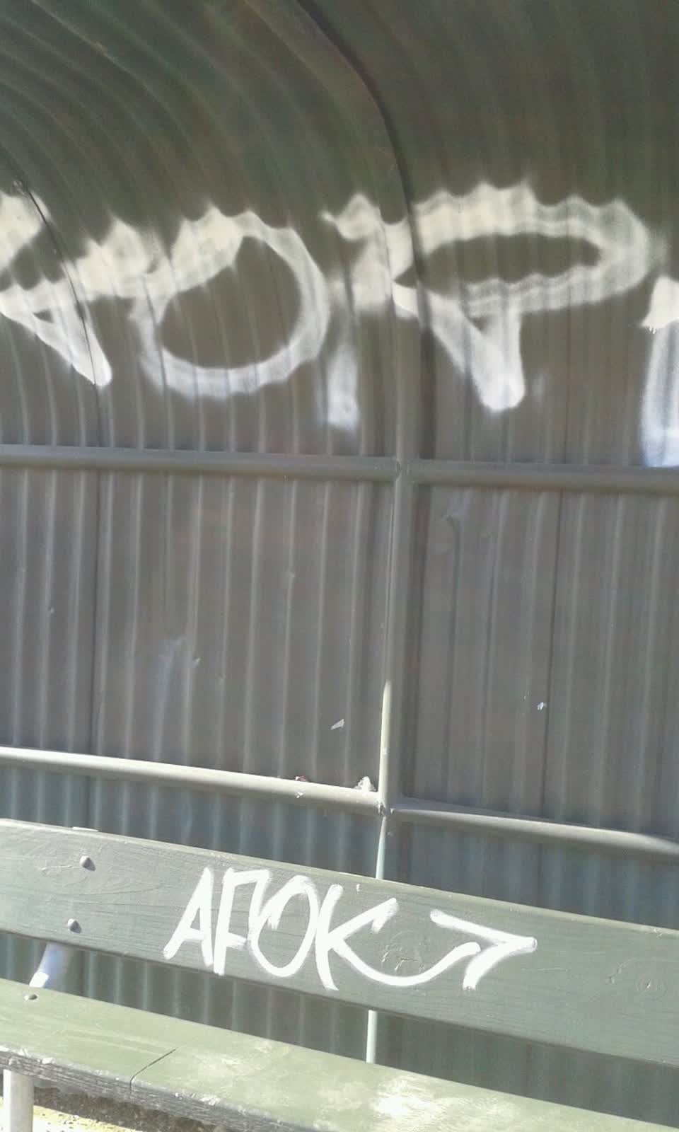 The photograph attached to this graffiti report