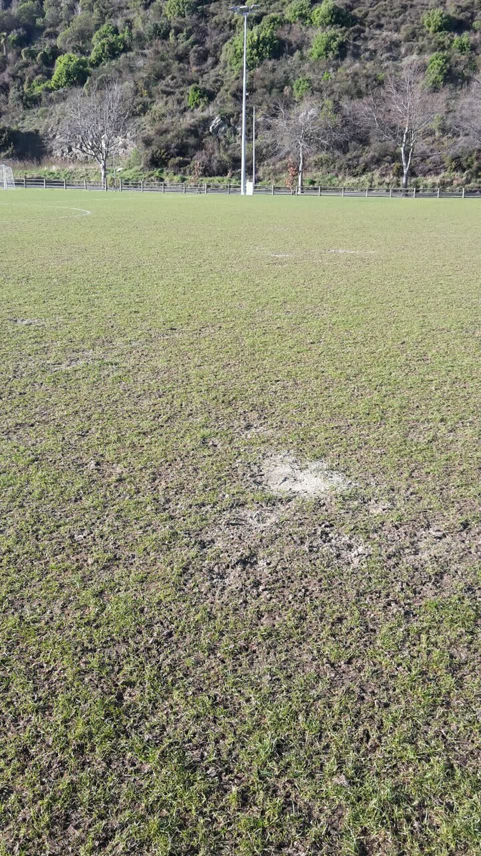 The photograph attached to this parks report