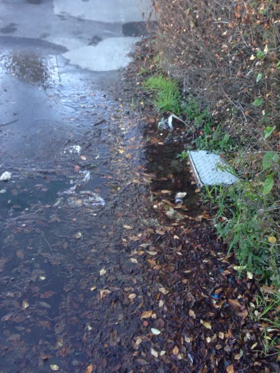 The photograph attached to this water supply report