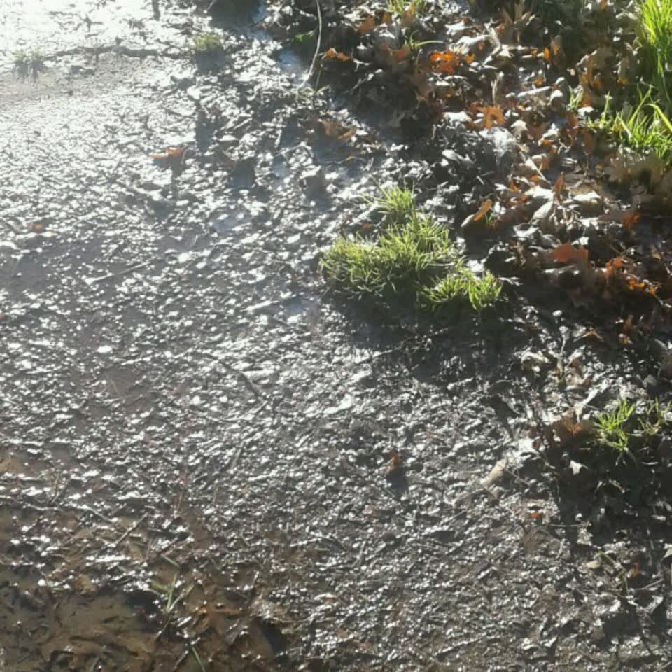 The photograph attached to this water supply report