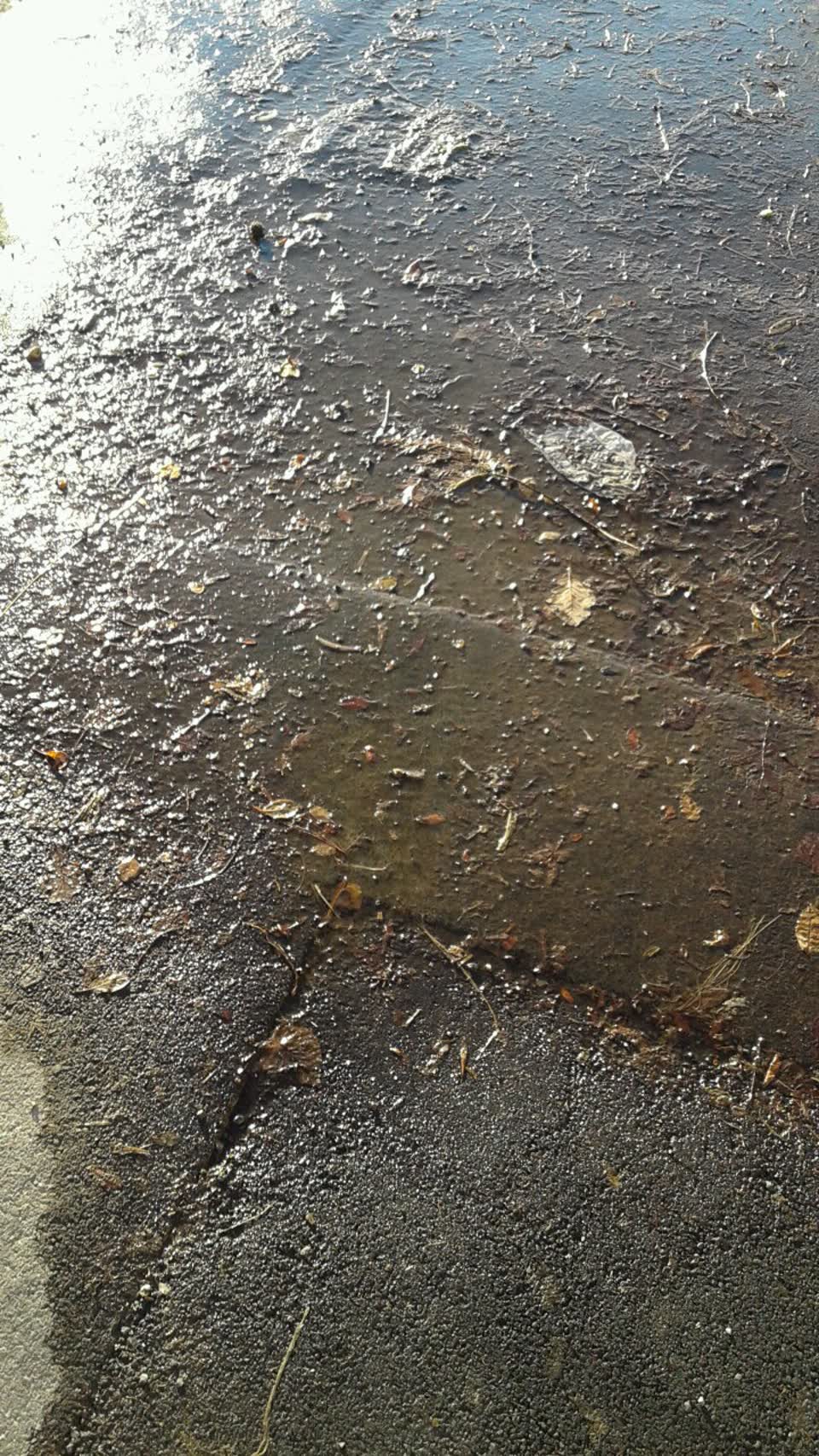 The photograph attached to this water supply report