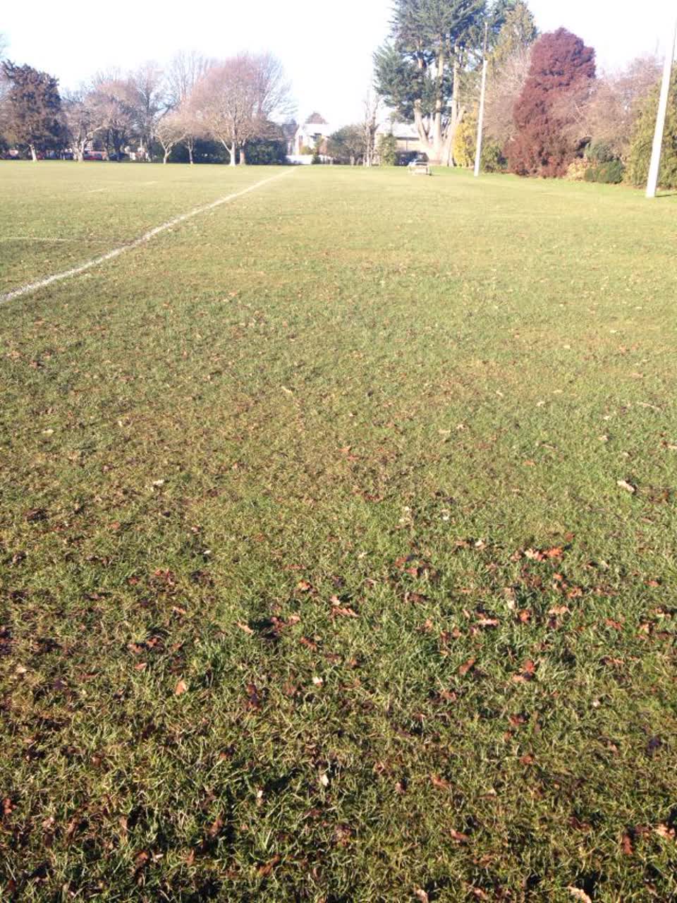 The photograph attached to this parks report