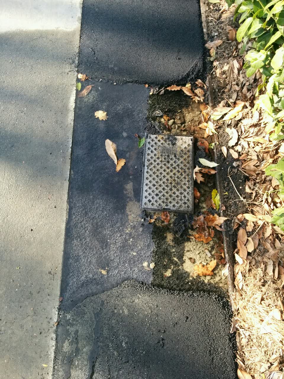 The photograph attached to this water supply report