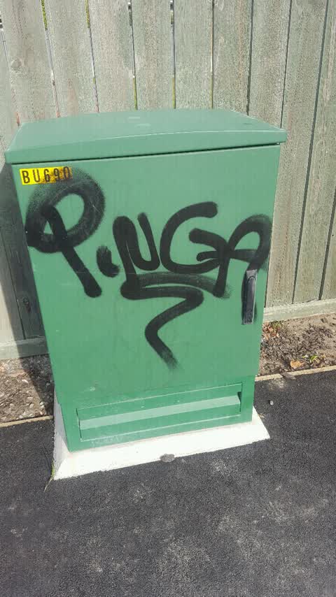 Graffiti, a report photo