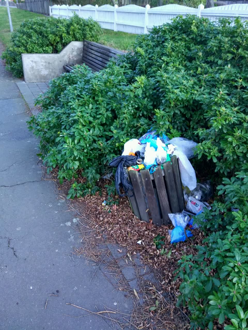 The photograph attached to this rubbish/recycling report