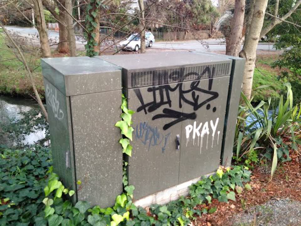 The photograph attached to this graffiti report