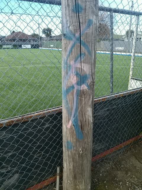 Graffiti, a report photo