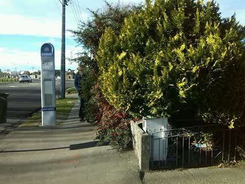 Roading/Streets, a report photo