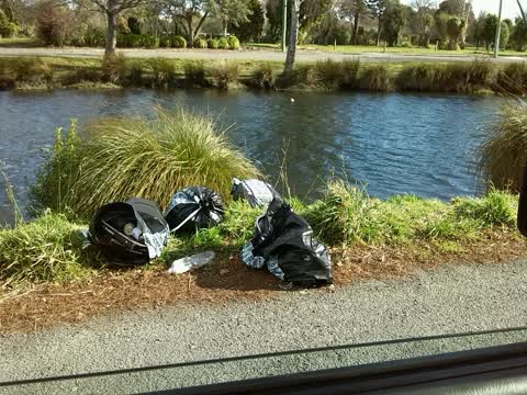 Rubbish/Recycling — a report photo