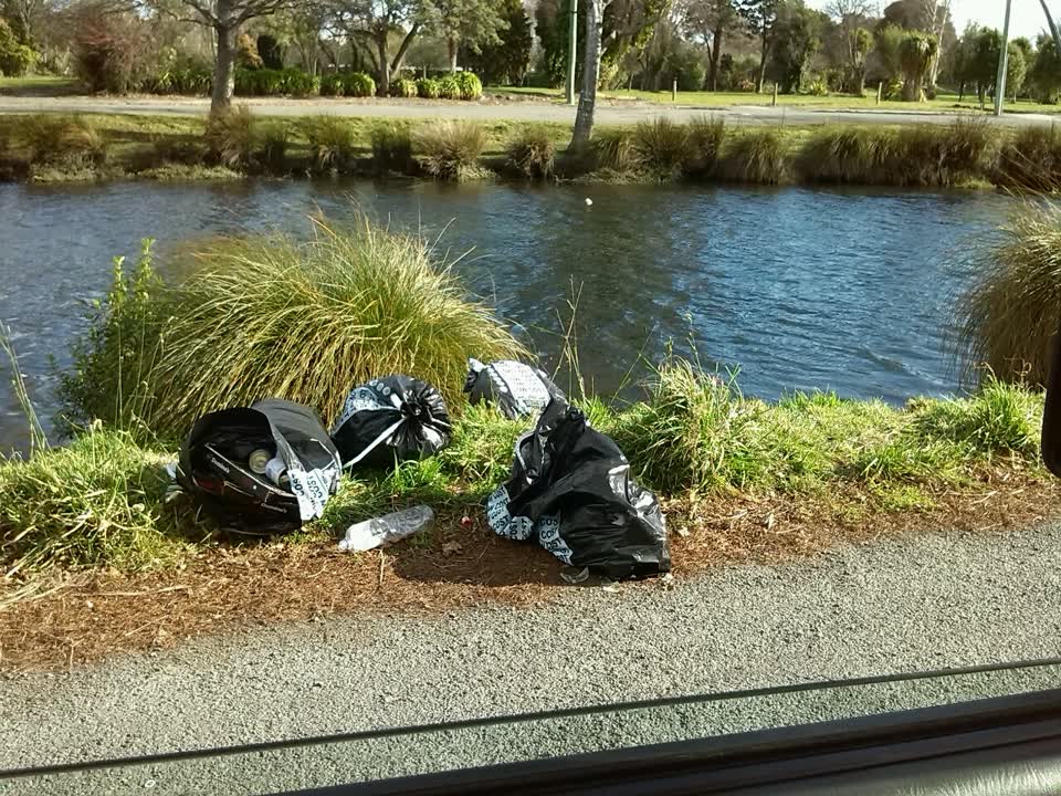 The photograph attached to this rubbish/recycling report