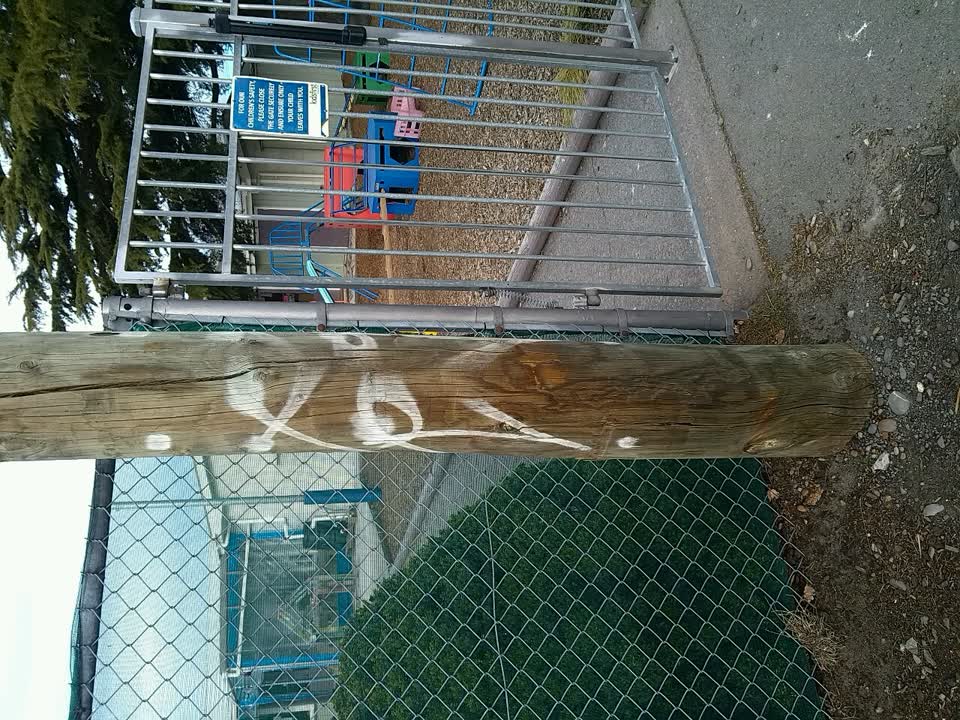 The photograph attached to this graffiti report