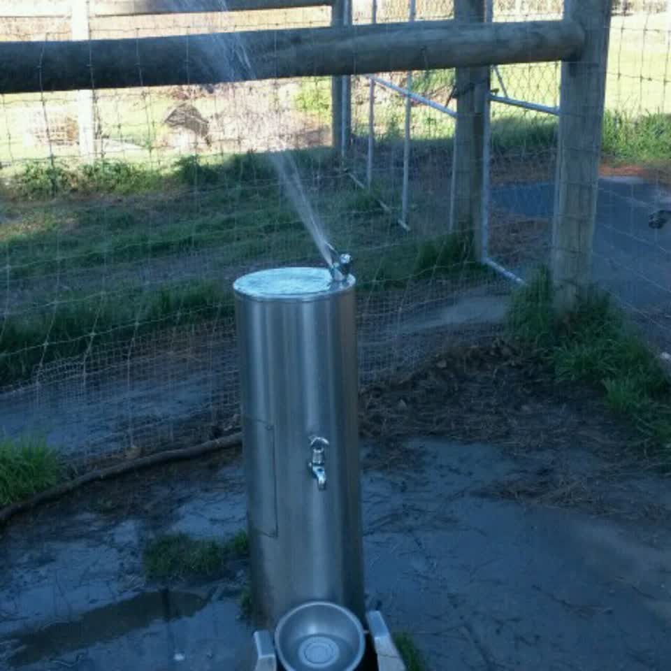 The photograph attached to this water supply report