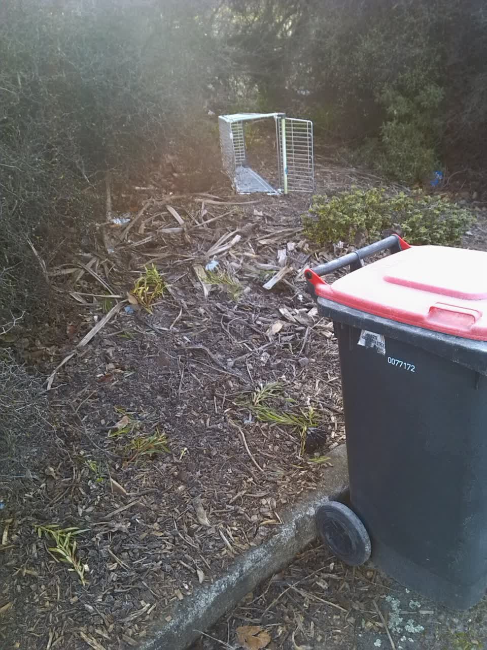 The photograph attached to this rubbish/recycling report
