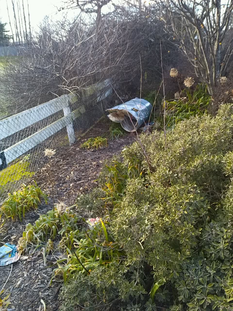 The photograph attached to this rubbish/recycling report